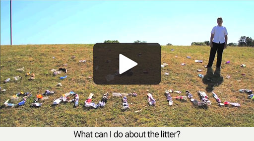 What can I do about the litter?